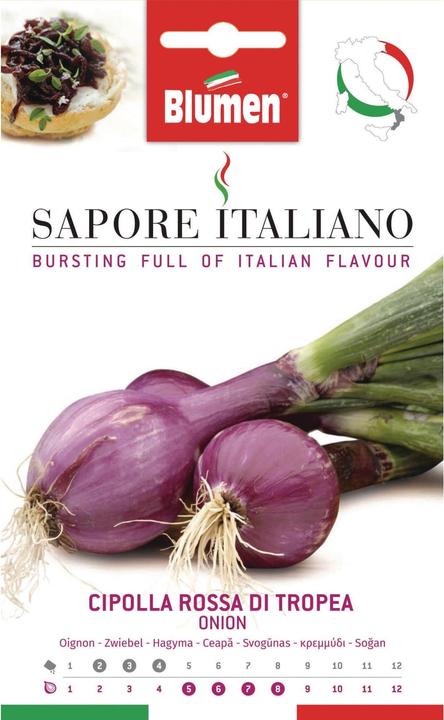 Image du produit Blumen Oignon Rossa di Tropea (Graines de légumes)