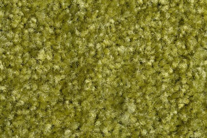 Produktbild Miltex Schmutzfangmatte EAZYCARE COLOR, 1200 x 1800 mm, grn (120 x 180 cm)