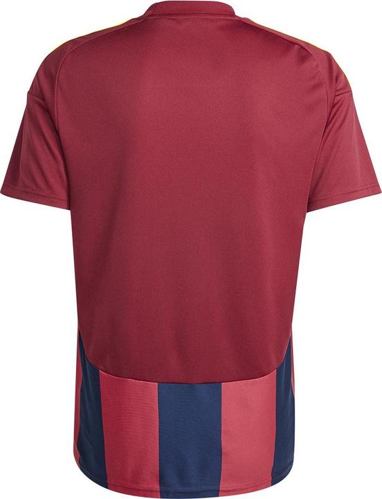 Actual product image adidas Striped 24 Jersey (S)
