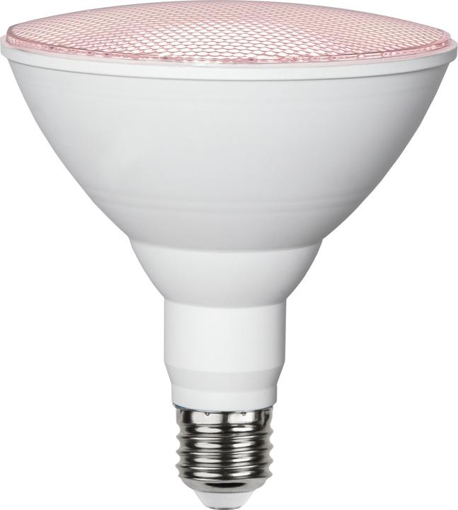 Produktbild Star Trading Lampe für Pflanzenlicht (E27, 16 W, 1200 lm, 1 x)