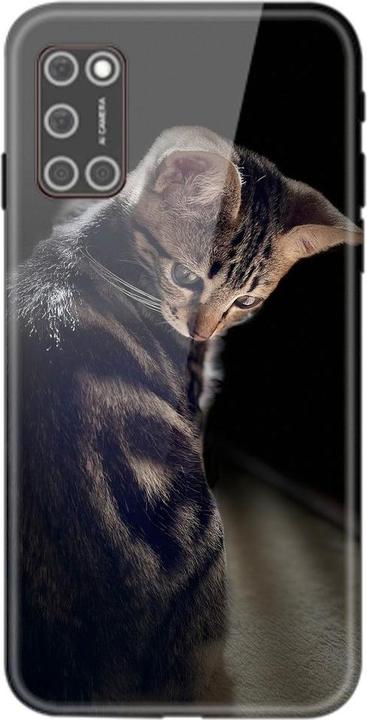 Junge Katze