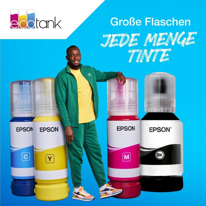 Produktbild Epson 113 (BK)