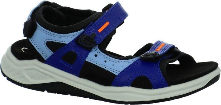 Ecco X trinsic