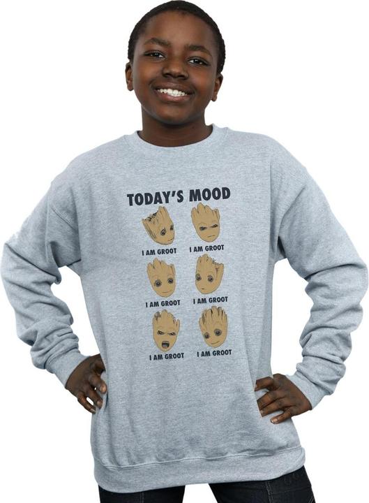 Produktbild Guardians Of The Galaxy Groot Today's Mood Sweatshirt Jungen (140, 146)