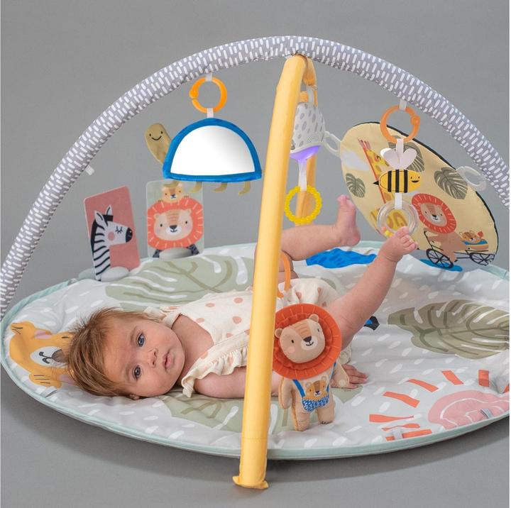Productafbeelding Taf Toys Savannah