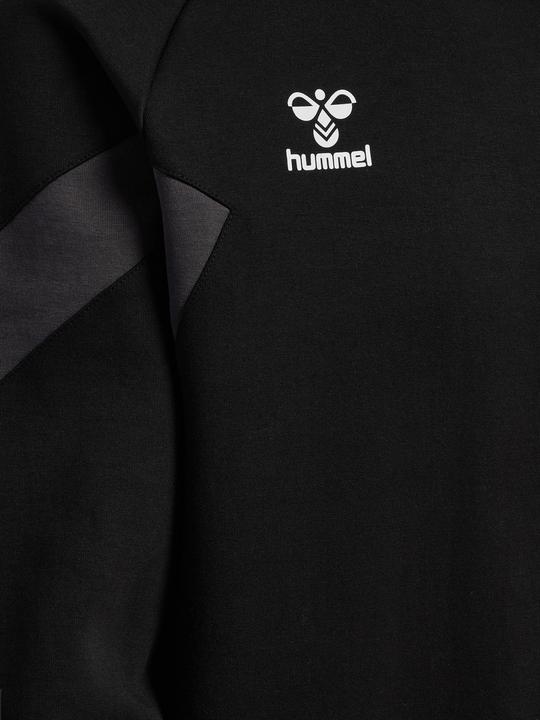 Image du produit hummel hmlTRAVEL Sweat Sweat à capuche Homme (S)