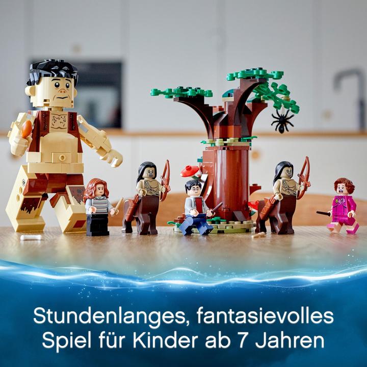 Produktbild LEGO Der Verbotene Wald: Begegnung mit Umbridge (75967, LEGO Harry Potter)