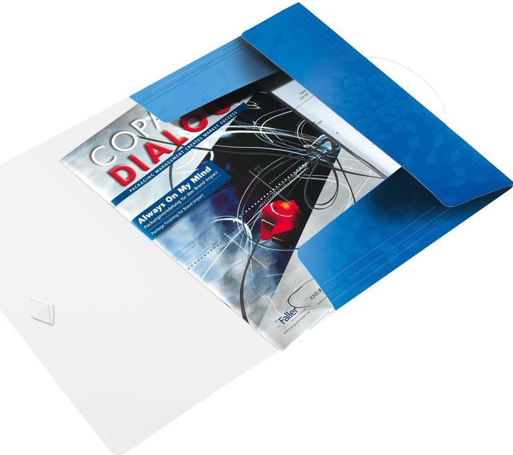 Actual product image Leitz WOW folder (A4, 1 x)