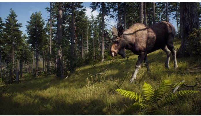 Image du produit THQ Way of the Hunter (PS5, EN, FR, IT)