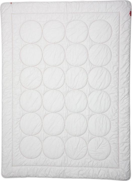 Immagine prodotto Zizzz Piumino in lana per tutte le stagioni (Swisswool) (940 g, 160 x 210 cm)