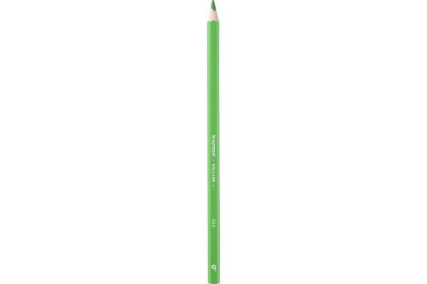 Immagine prodotto Bruynzeel Matita colorata Colorexpress (Verde chiaro, 12 x)
