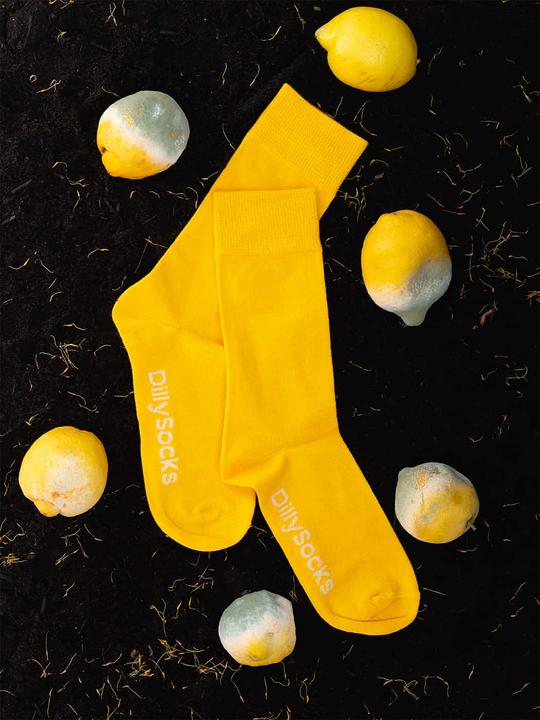 Produktbild DillySocks D-Compose (2er Pack, 43 - 46)