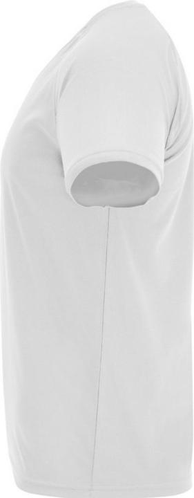 Actual product image Alpinia Mens Bahrain Short-Sleeved Sports T-Shirt (4XL)