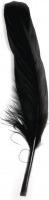 Actual product image Rayher Goose feather, black, 8 pieces