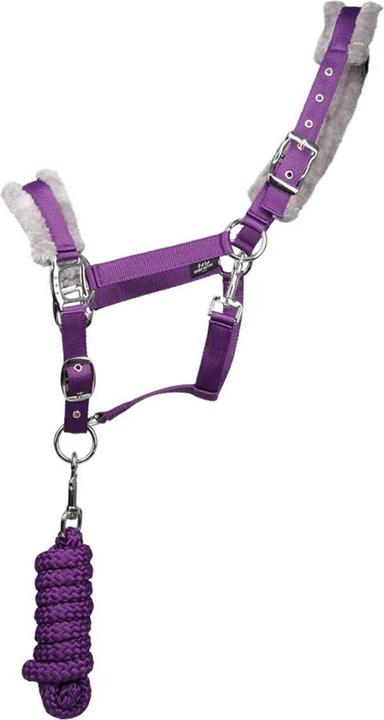 Actual product image Hy Active Horse Headcollar and Leadrope