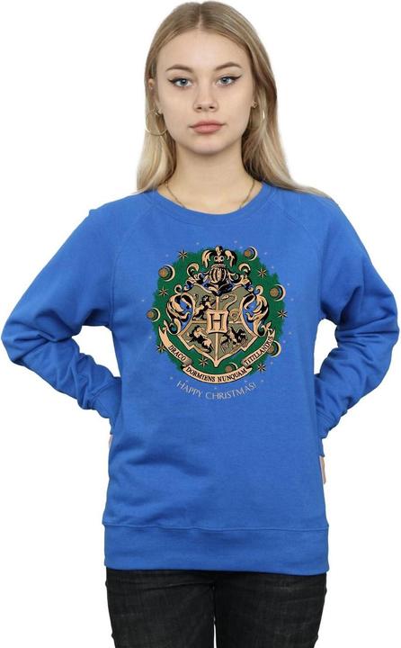 Actual product image Womens/Ladies Christmas Wreath Sweatshirt (L)
