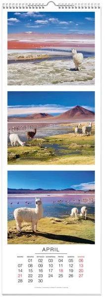 Produktbild Tiere Triplets Panoramakalender 2025 (Deutsch)