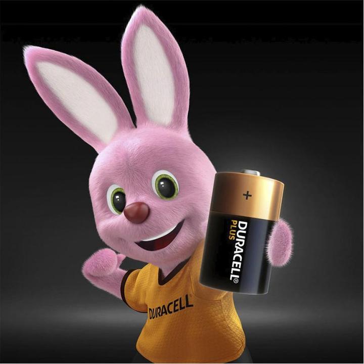 Actual product image Duracell Plus (4 pcs., D)