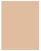 Actual product image L'Oréal Paris true match (2N)