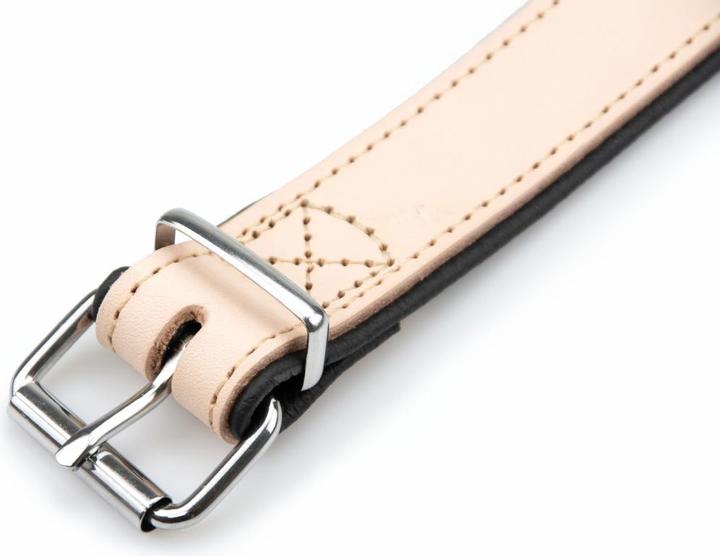 Actual product image Karlie Collar Rondo, wide (S, Dog, Walks)