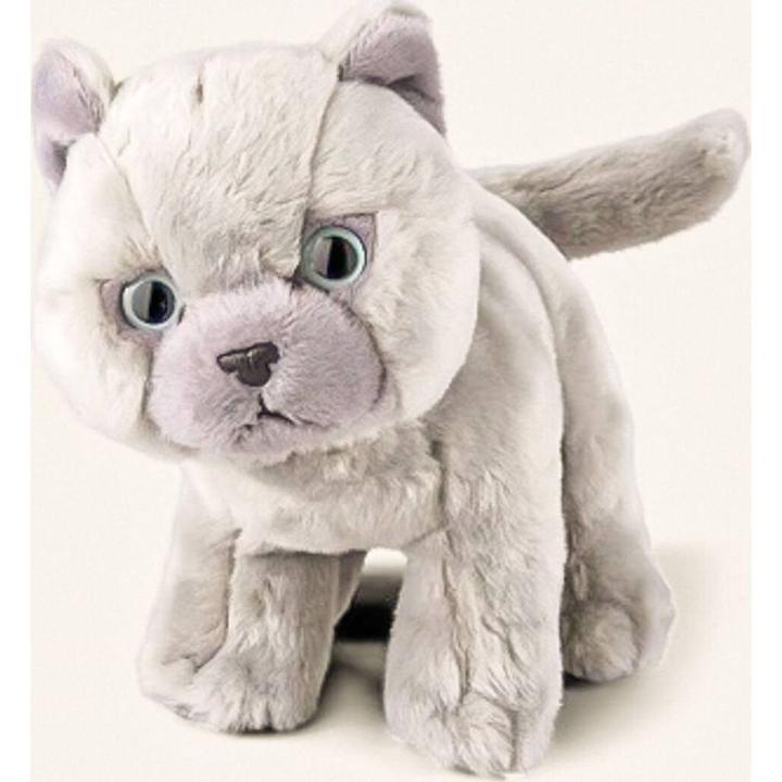 Immagine prodotto Living Nature Gattini British Grey Shorthair (16 cm)