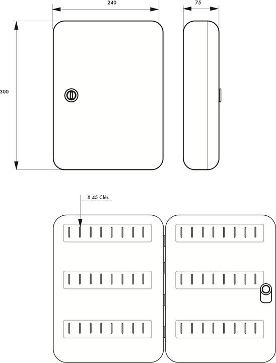 Immagine prodotto Thirard Armoire à clé kibox, serrure à cylindre, capacité de 45 clés -