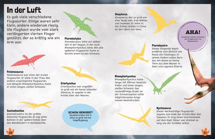Image du produit Lexique des autocollants. Dinosaures