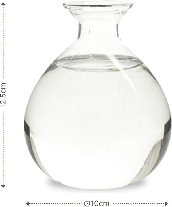 Produktbild Hermex Avocadobaum-Glas Avocado-Vase Hydrokultur-Vase Hyazinthenglas (10 cm)