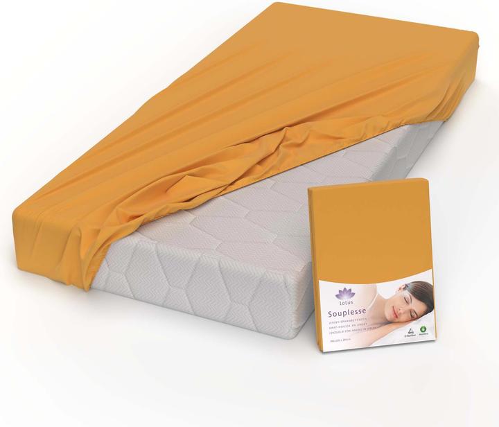 Actual product image Lotus Bettwaren Jersey fitted sheet Souplesse (100 x 200 cm, 90 x 200 cm)