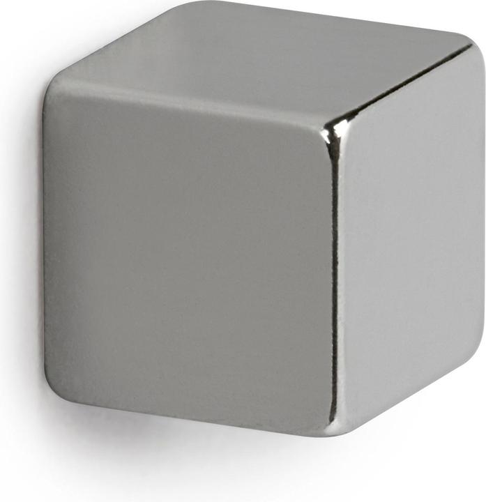 Image du produit Maul Aimant en forme de cube (4 x)