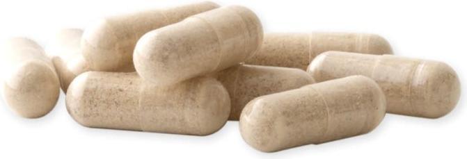 Produktbild Raab MSM mit Weidenrinde und Vitamin C (90 Stück, Kapseln)
