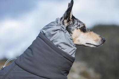 Image du produit Hurtta Extreme (50, Manteau pour chien)