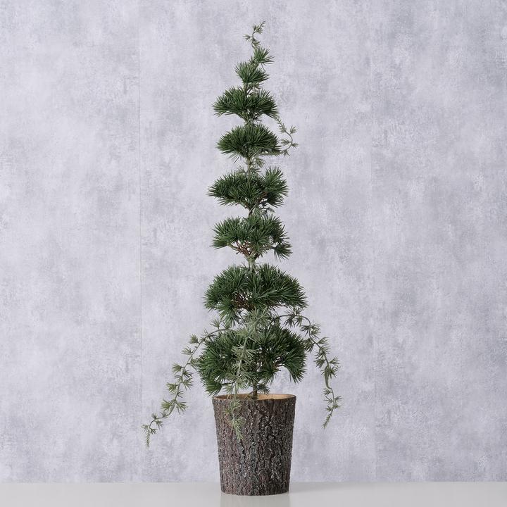 Produktbild Boltze Home Zeder (64 cm)