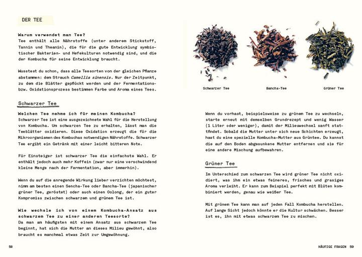 Actual product image Kombucha do it yourself (German, Julie Ponge, 2023)