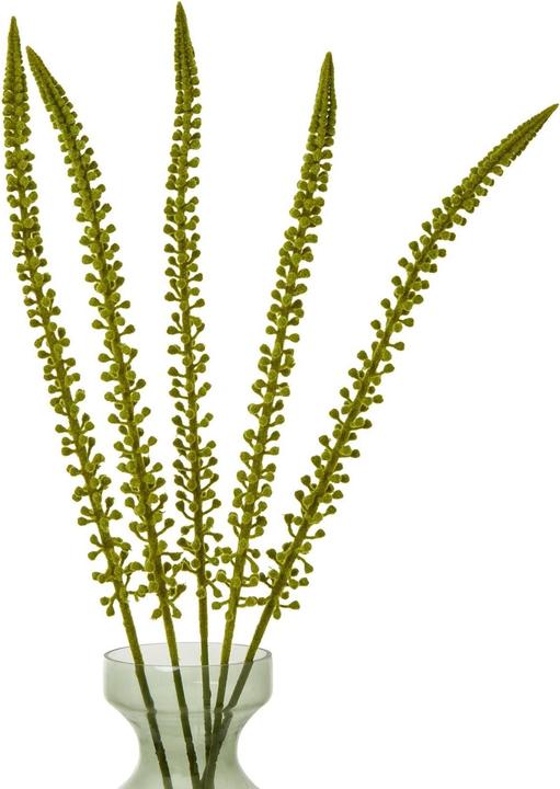Actual product image Hill Interiors Eremurus Stem Artificial Plant (88 cm)