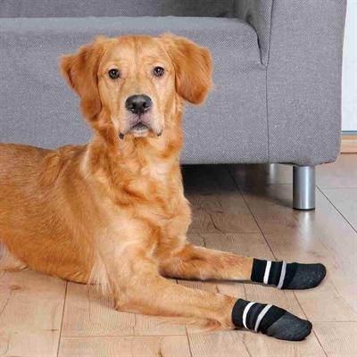 Produktbild Trixie Hundesocken Grösse M-L (M, L, Hundesocken)