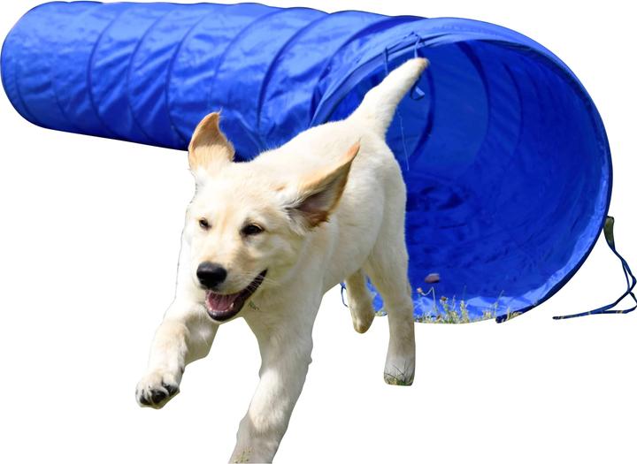 Produktbild Dobar Agility-Tunnel (Agility)