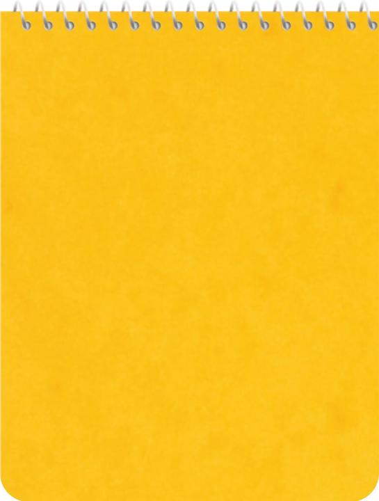Actual product image Novooo Spiralheft assortiert (101 x 76 mm, Checked)
