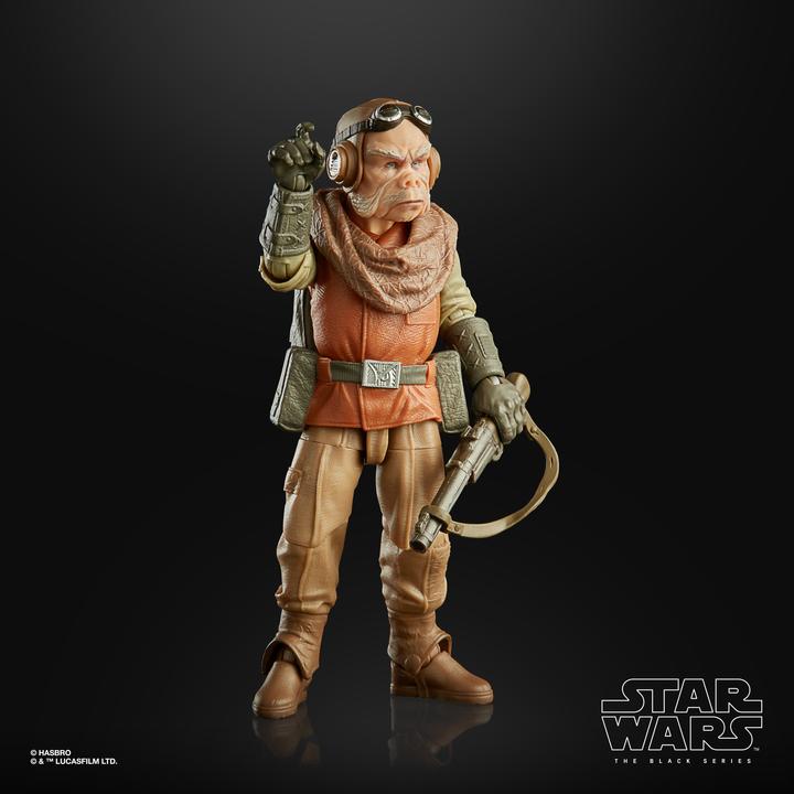 Image du produit Hasbro The Black Series Kuiil