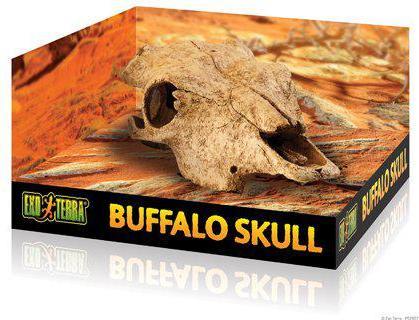 Actual product image Exo Terra EXOTERRA - Cave Buffalo Skull - (222.2057)