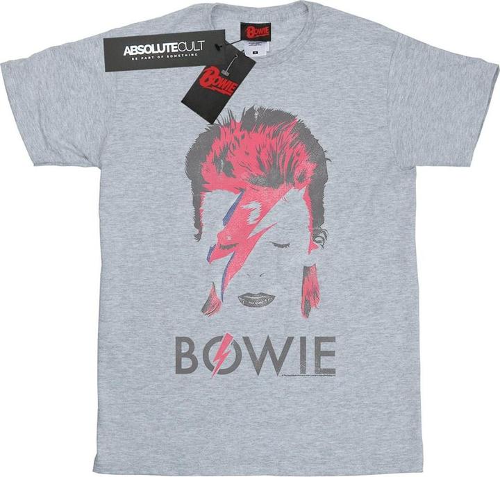 David Bowie Aladdin Sane Distressed TShirt