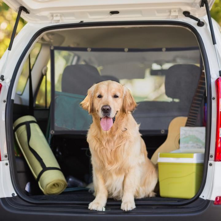 Produktbild Relaxdays Auto-Trennnetz (Hund, Sicherheitsverschluss)