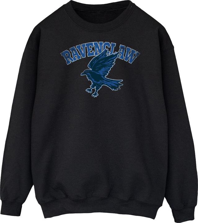 Image du produit - Sweat - Homme (3XL)