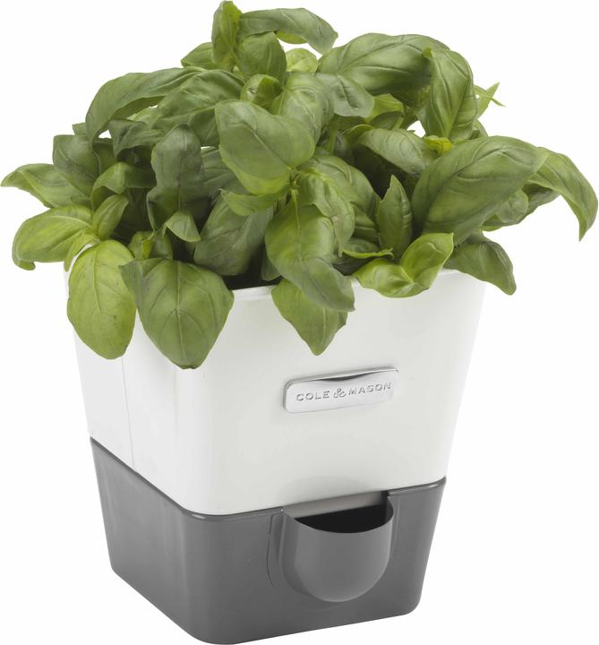 Produktbild Cole & Mason Kräutertopf (14 cm)