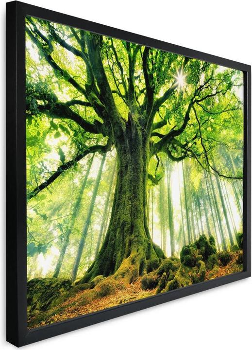 Produktbild Trenddeko Kiciak - Märchenwald (120 x 100 cm)