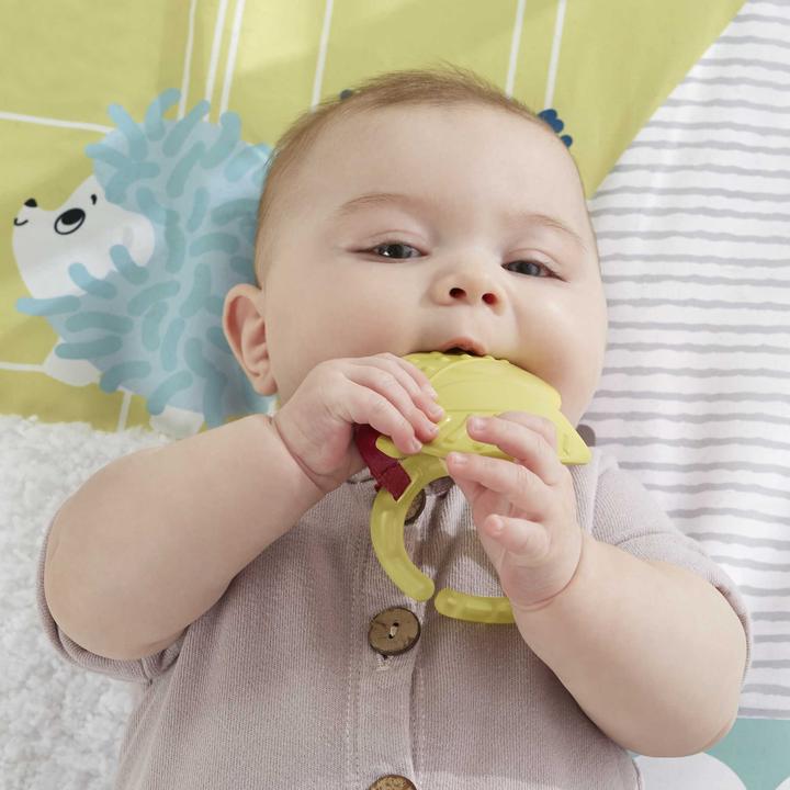 Produktbild Fisher-Price 5-Sinnes Spieldecke