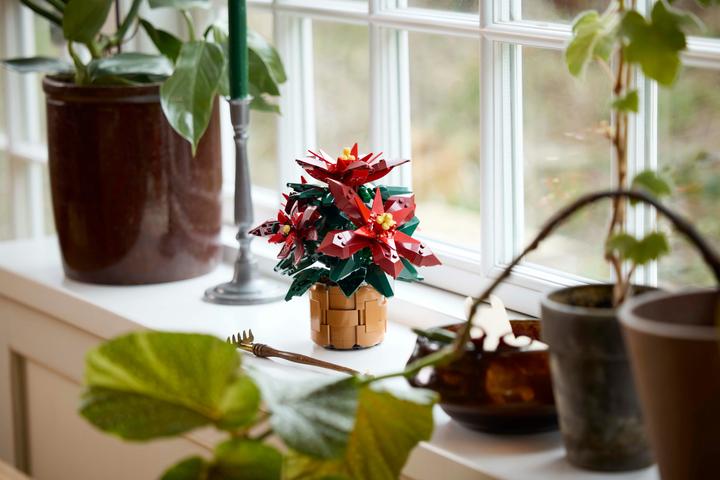 Actual product image LEGO Poinsettia (10370, LEGO Icons)