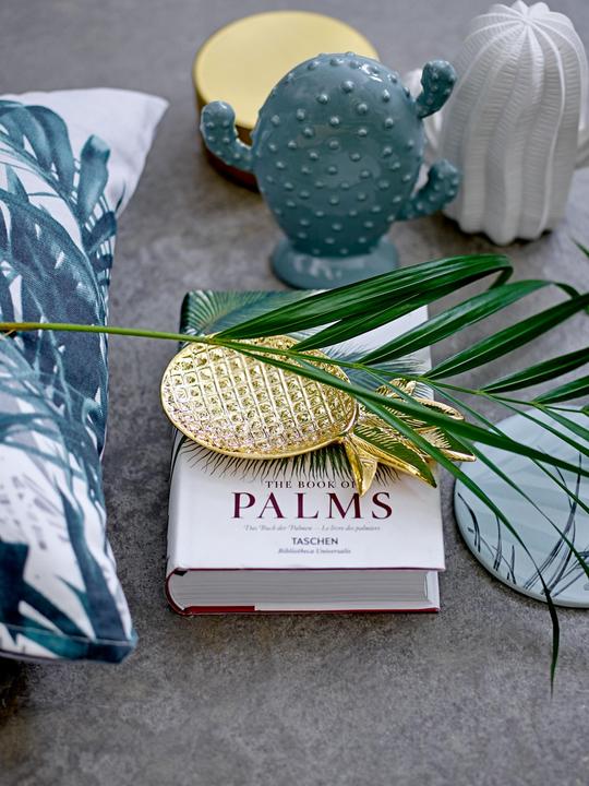 Image du produit Bloomingville Cactus, set de 2