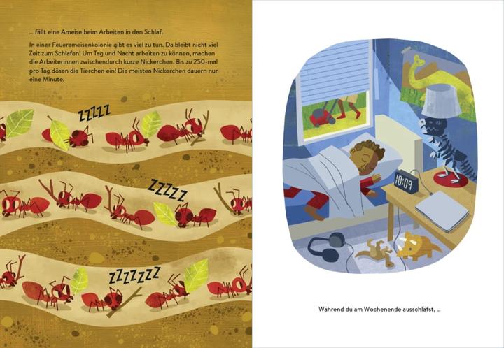 Actual product image Ab ins Nest! – Wie Tiere schlafen gehen (German, Mary Birmingham, 2023)