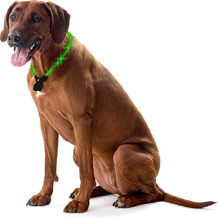Actual product image Wolters NightShift (XL, Dog, General)